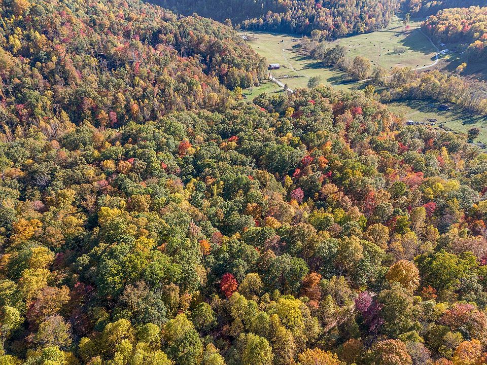 Leaf Tree Forest Biome in Environments - UE Marketplace