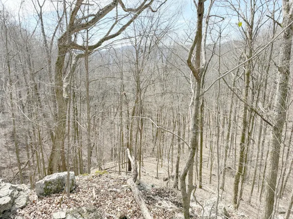 4872 Deer Run Rd, Altamont, TN 37301