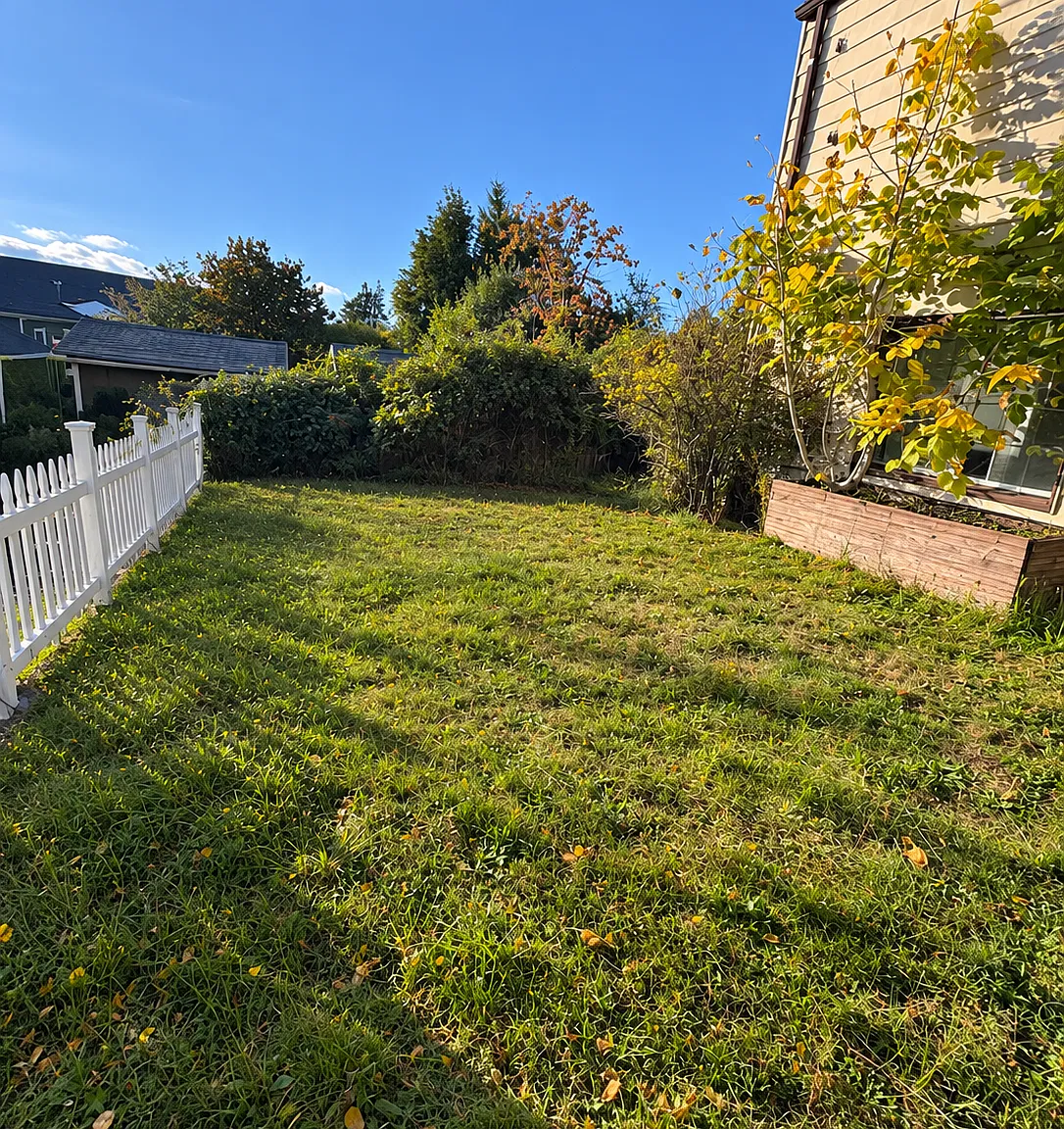 Studio, $1,300 — Photo 2