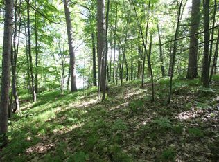 LOT 1 Lake Julia Rd, Rhinelander, WI 54501