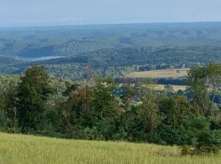 355 Flynn Dr, Mountain View, AR 72560