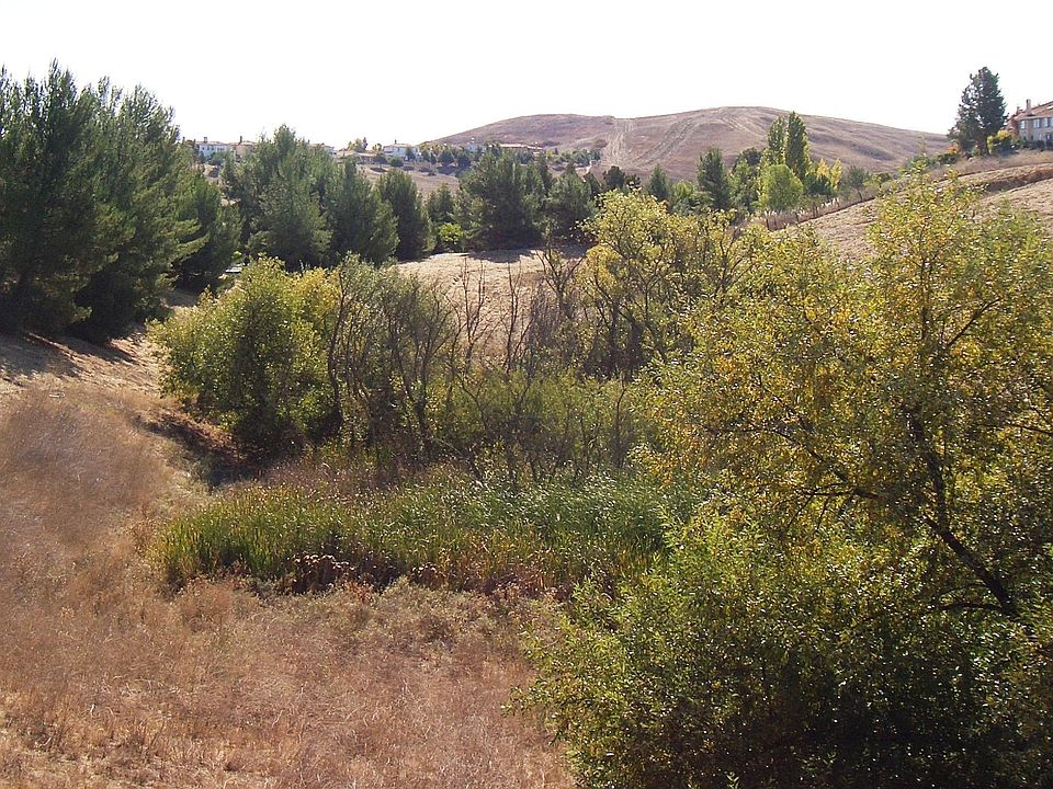View of open space from back deck