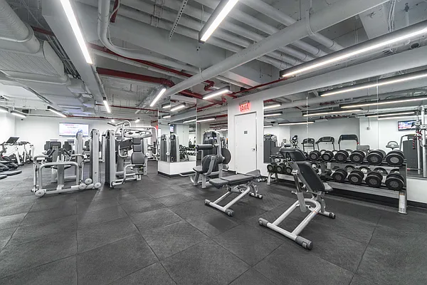 Rented by Platinum Properties | media 33