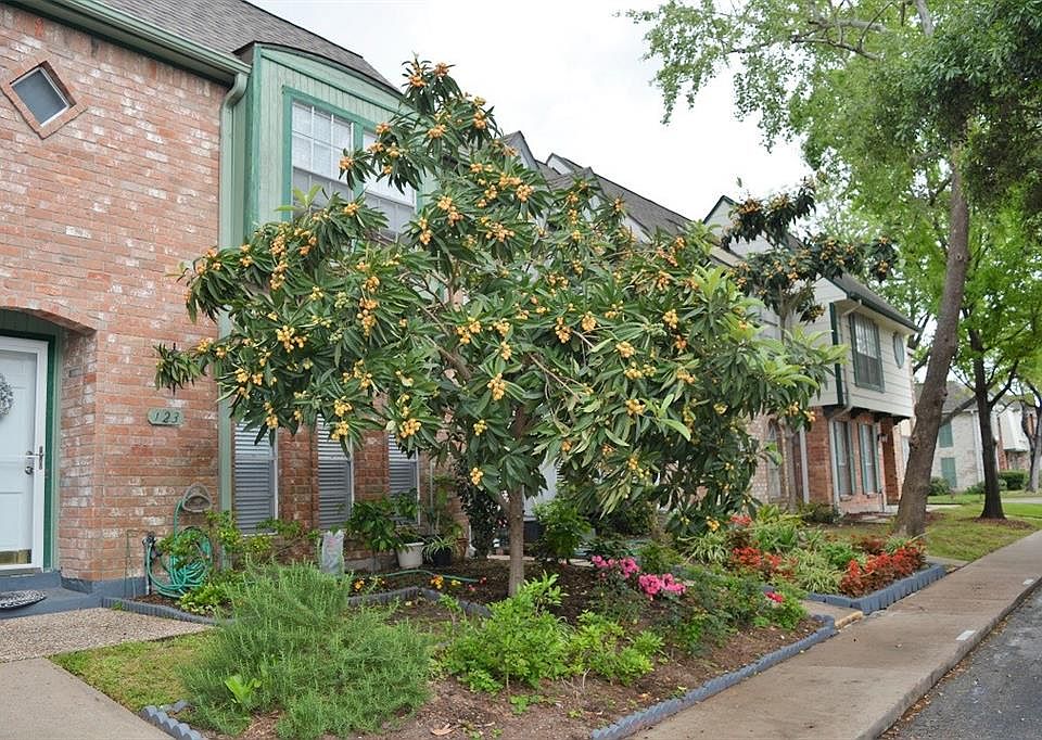 2nd image of 11002 Hammerly Blvd APT 123