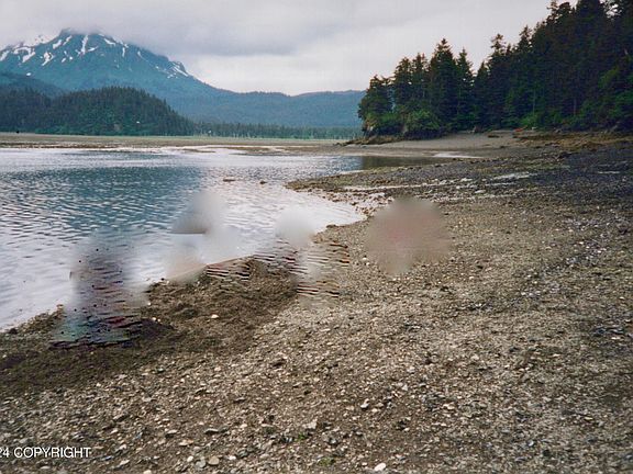 3rd image of L4 Sadie Cv