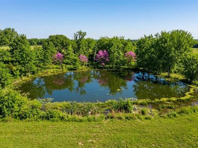 Mulberry Ln #C, Eureka Springs, AR, 72631