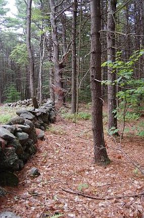 4th image of 221 Locust Lane