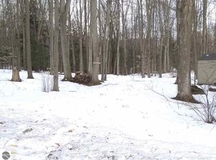 139 E Forest Trl, Leroy, MI 49655