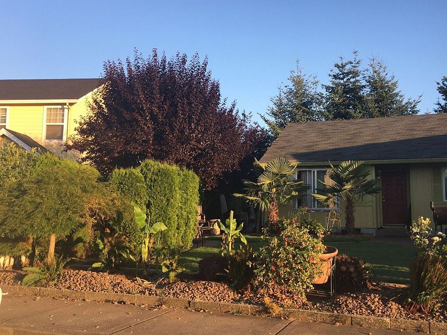 2nd image of 1091 Country Ln