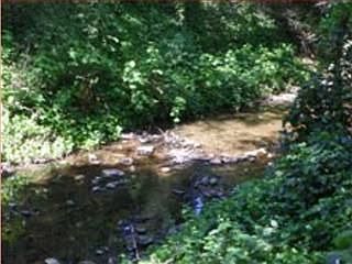 5th image of 175 Creek Ct