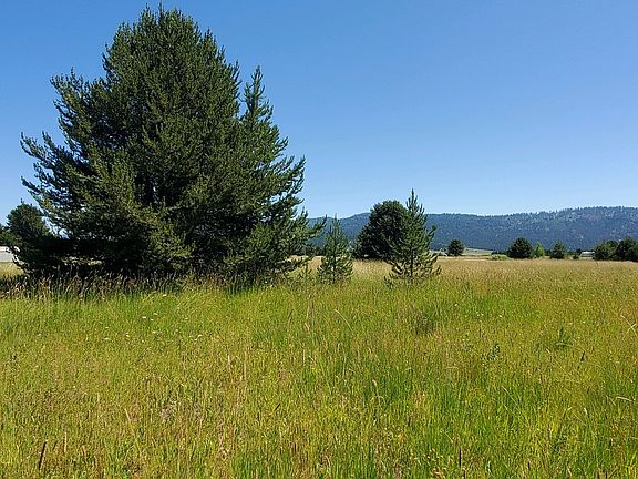 4th image of 10201 Packsaddle Rd