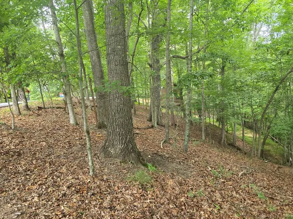 476 Riverview Dr, Ellijay, GA 30540