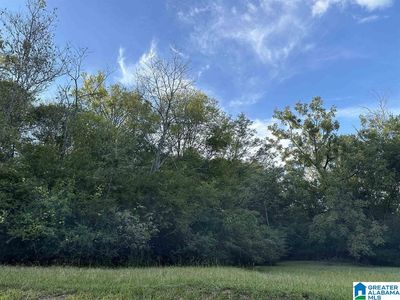 612 Vann St SE #1, Jacksonville, AL, 36265