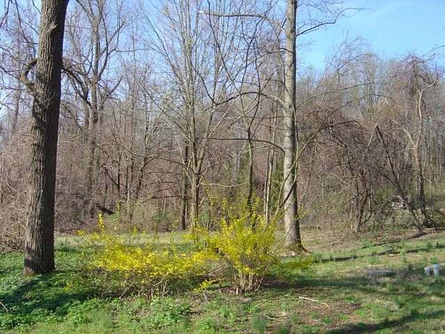 The Grounds