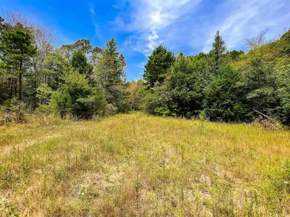 County Road 4606, Troup, TX 75789