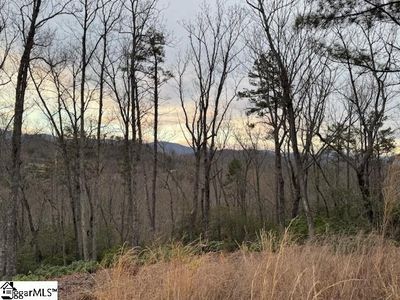 40 Secret Hollow Trl, Marietta, SC, 29661