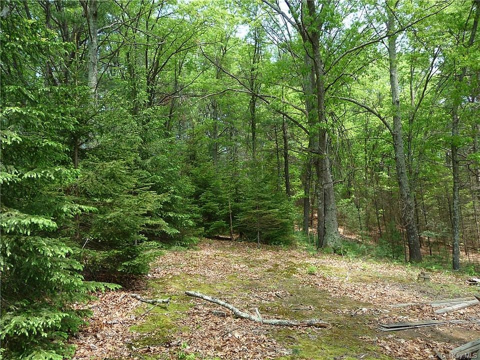Forestburgh Rd, Glen Spey, NY 12737 MLS H4904187 Zillow