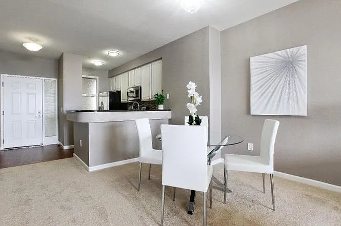 2 bed, 984 sqft, $4,500 — Photo 4