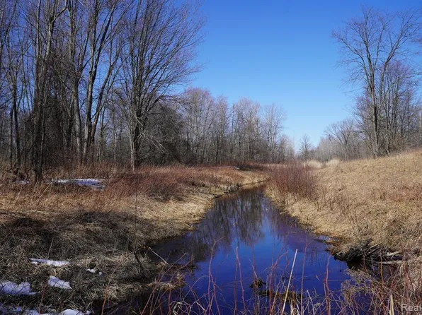 0 Rhodes Rd, National City, MI 48748