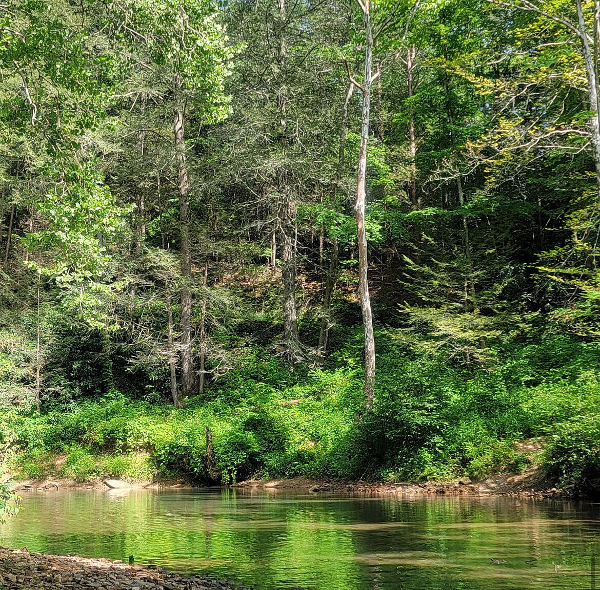 0 Raccoon Creek Rd, Mc Kee, KY 40447 Zillow