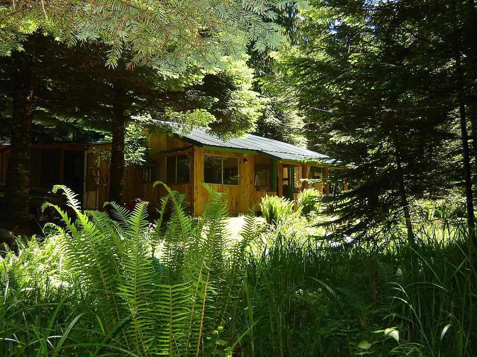 Surrounded by abundant plant life!