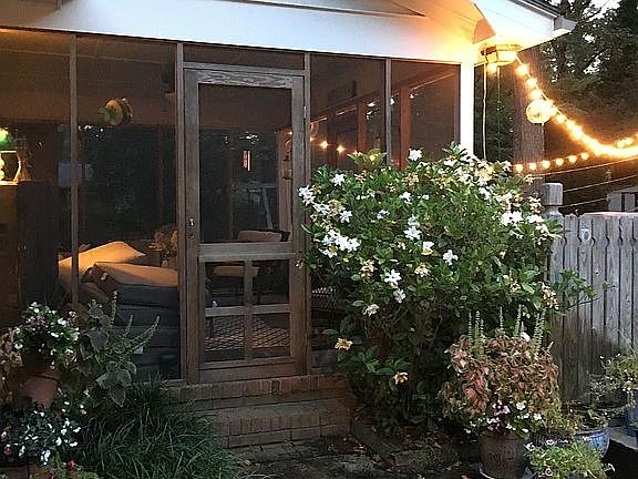 Back door