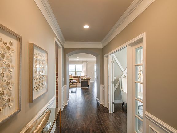 Model Representation