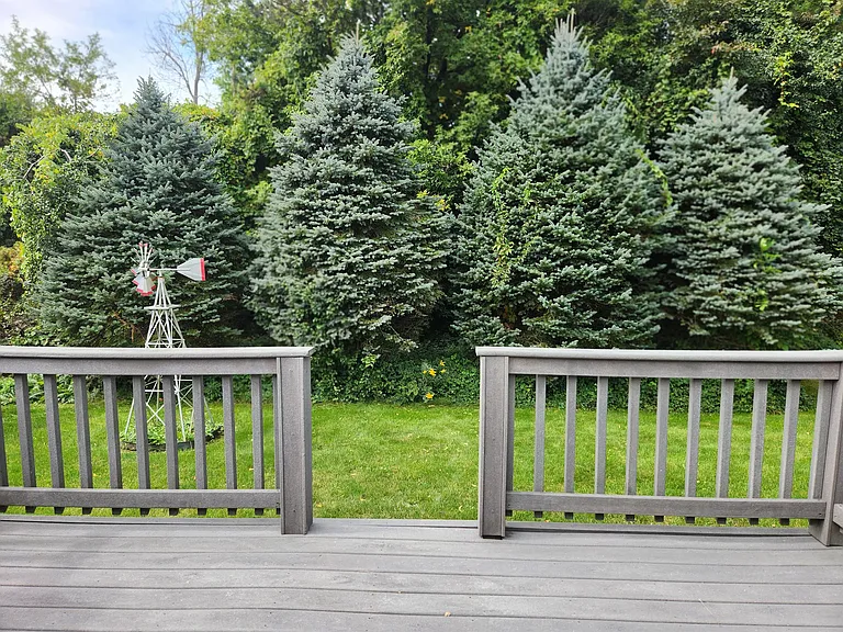 113 Braintree Dr — Photo 29