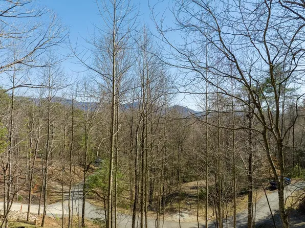 508 Chicasaw Dr, Ellijay, GA 30540