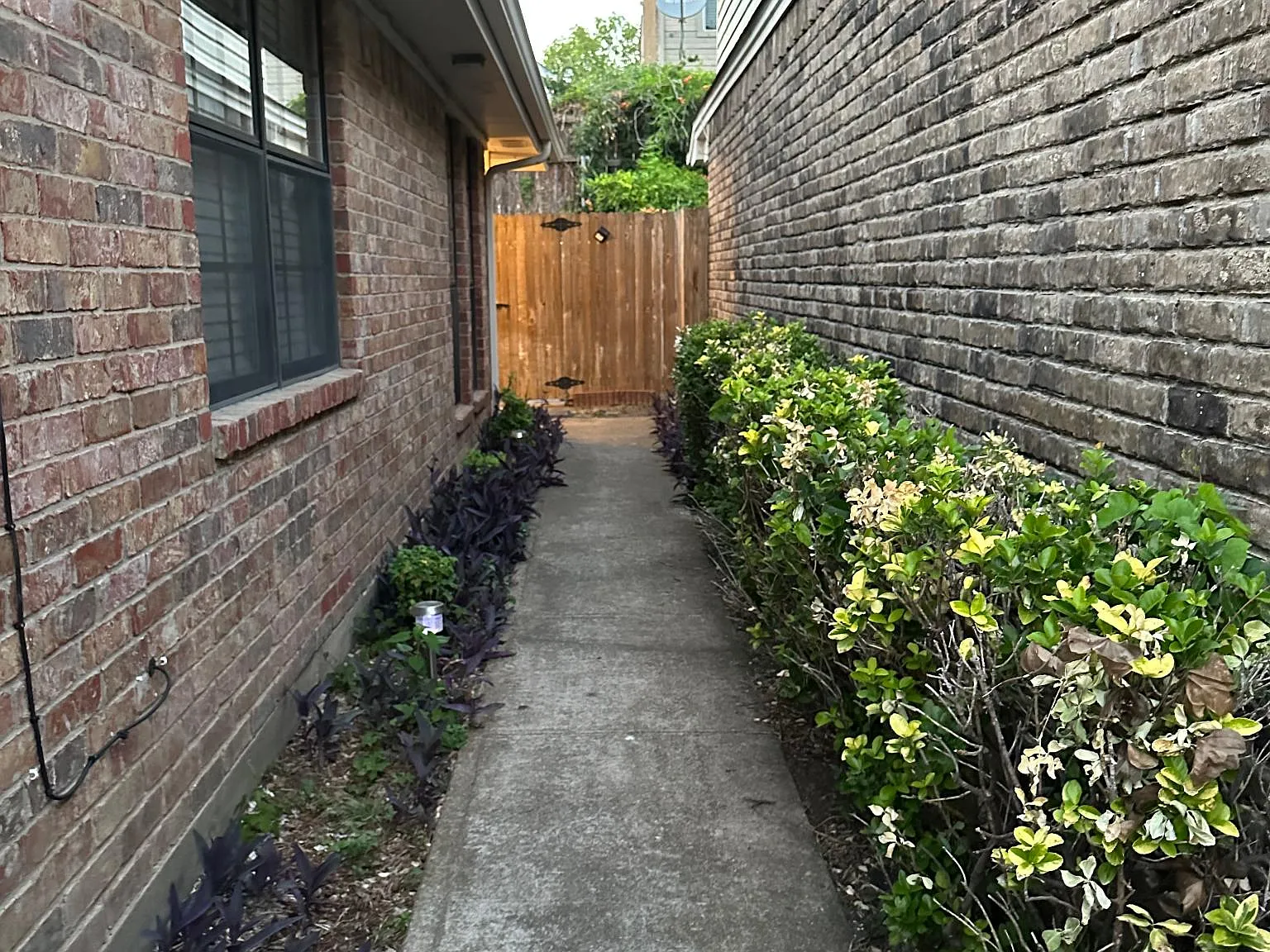 3 bed, 1658 sqft, $2,200 — Photo 2