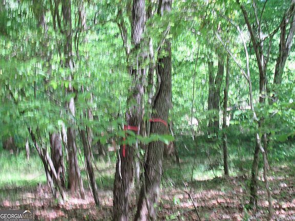 2nd image of 0 Chestatee Spgs