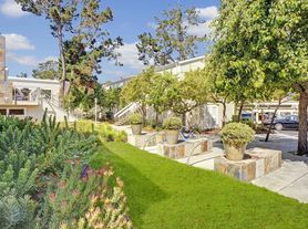 Footprints on the Bay