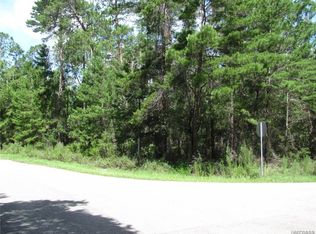 1 Petunias Ct, Homosassa, FL 34446