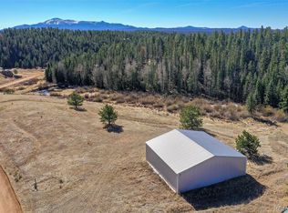 169 Saddleback Creek Drive LOT 26, Florissant, CO 80816