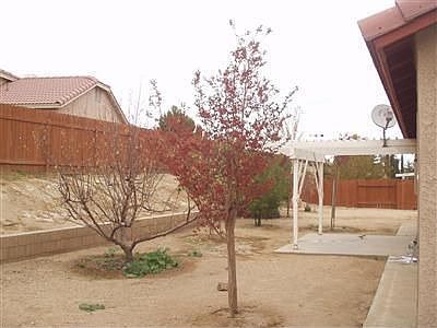 Nice back w/Fruit Trees!!