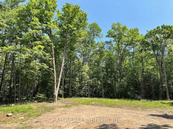 LOT 21 Lakewoods Dr, Madawaska Valley, ON K0J 1B0