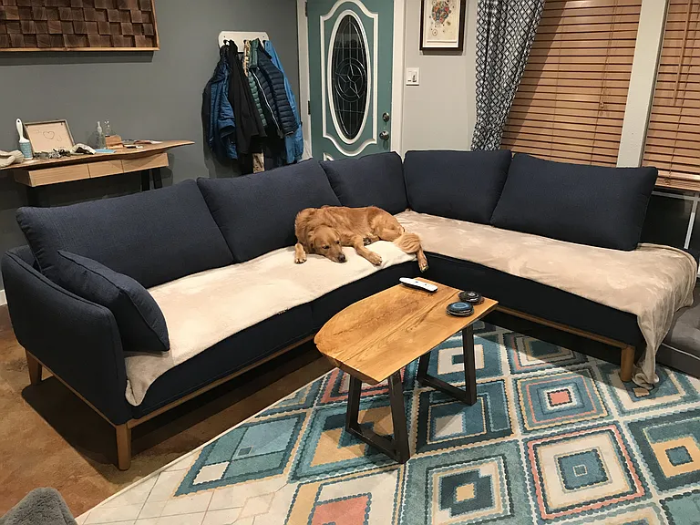 Front door entry, living room and best pup ever.