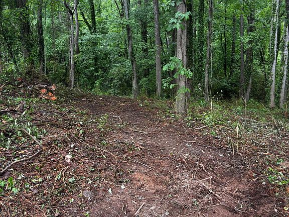 3rd image of LOT 35 Ryman Ridge Rd
