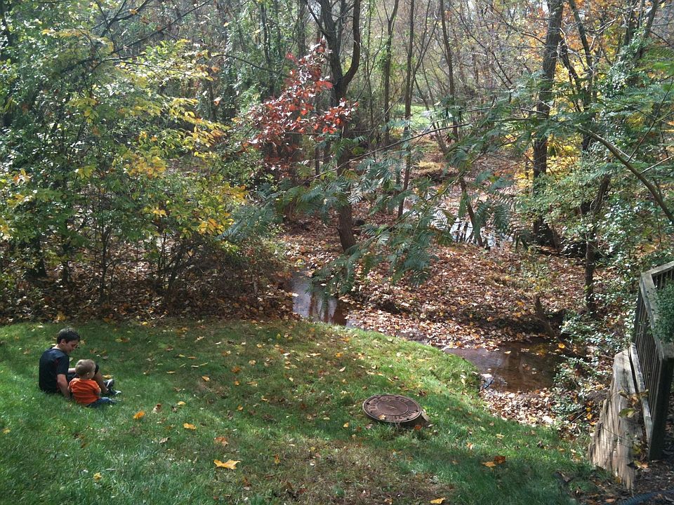 the creek next to the house