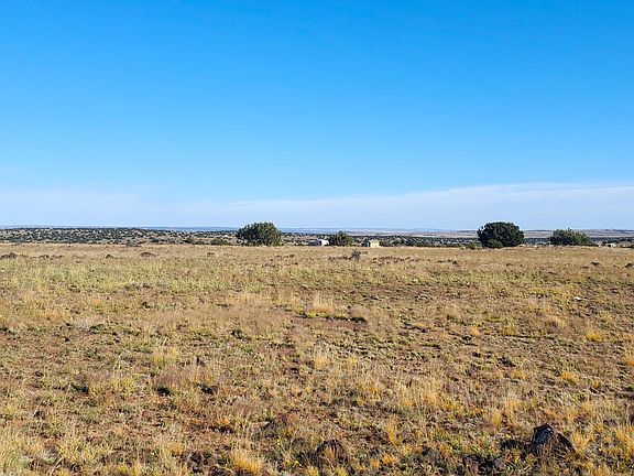 3rd image of County Road 5134