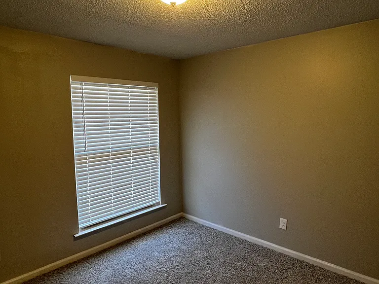 8803 Patricia Lynn Ln — Photo 14