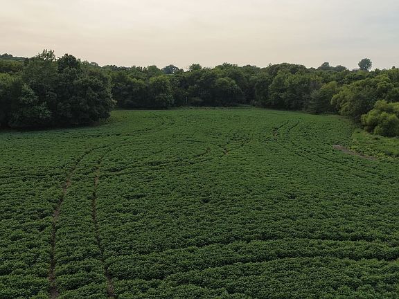 Dji 20260804090048 0556 D