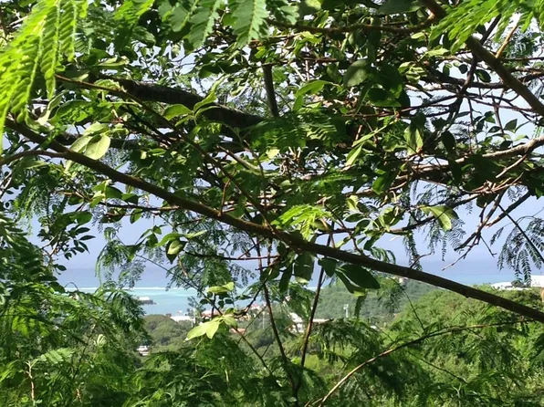 3 of 137 Mt. Welcome EA, St. Croix, VI 00820