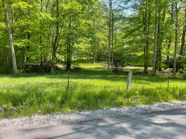 0 Alderson Rd, Nettie, WV 26681