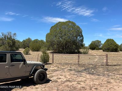 21 Off Of Cooks Trl, Ash Fork, AZ, 86320