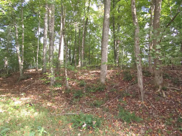 0 Old Antioch Rd, Gainesboro, TN 38562