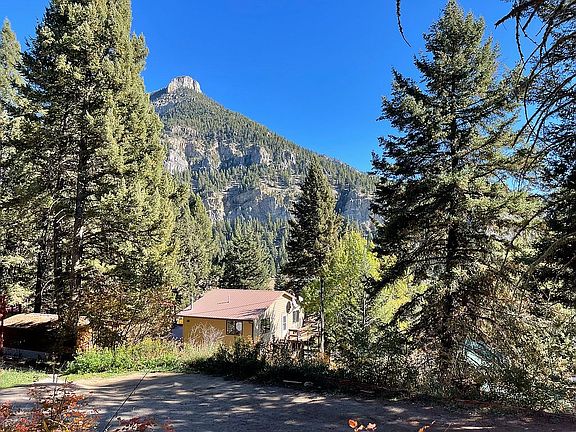 View after opening up Trees
