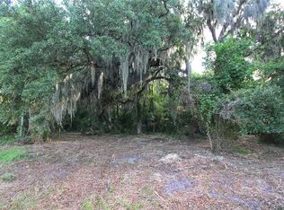 TBD CR 526, SUMTERVILLE, FL 33585