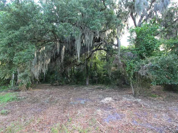 TBD CR 526, SUMTERVILLE, FL 33585