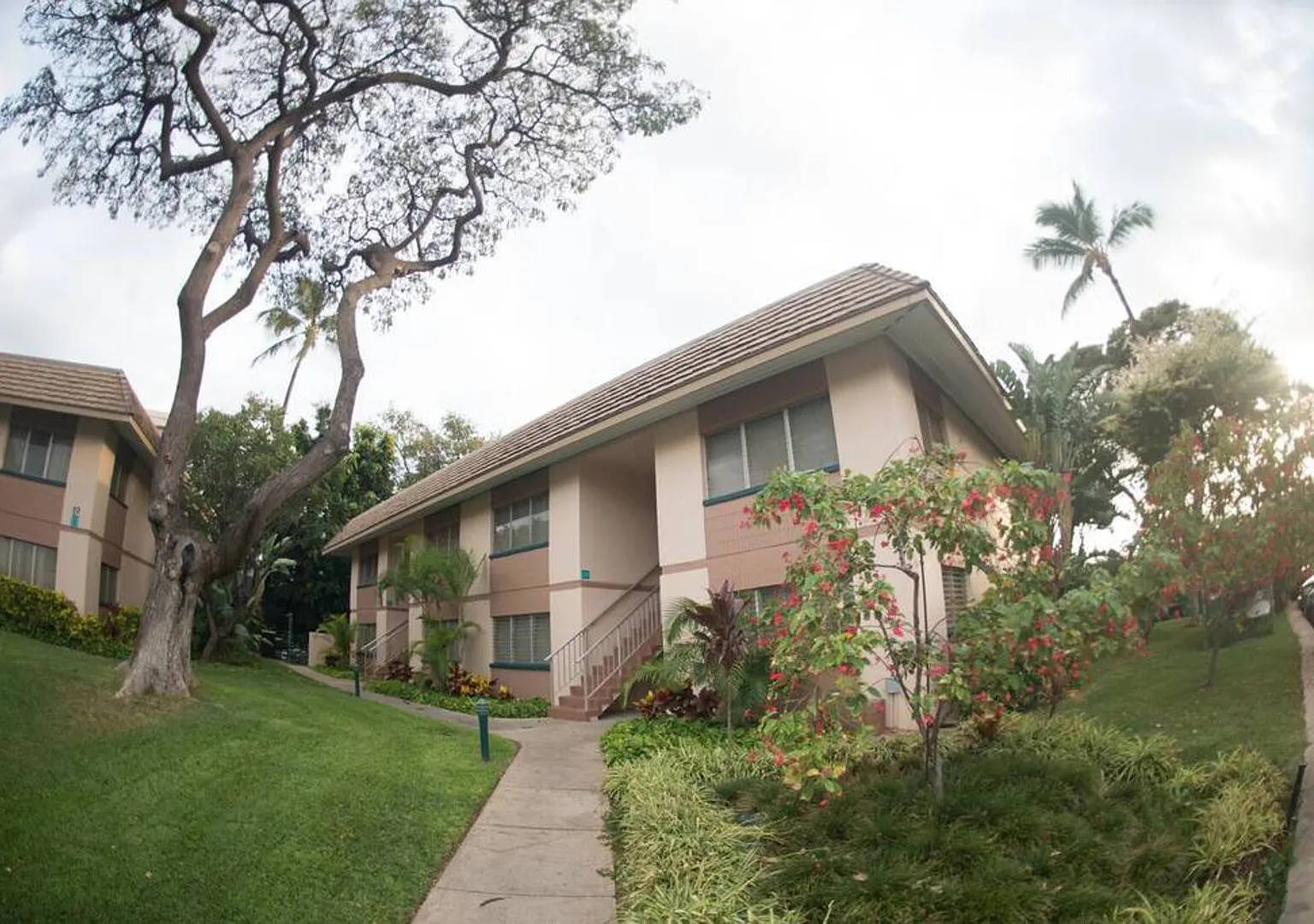 Wonderful Maui Vista Kihei True Beach-1123 — Photo 3